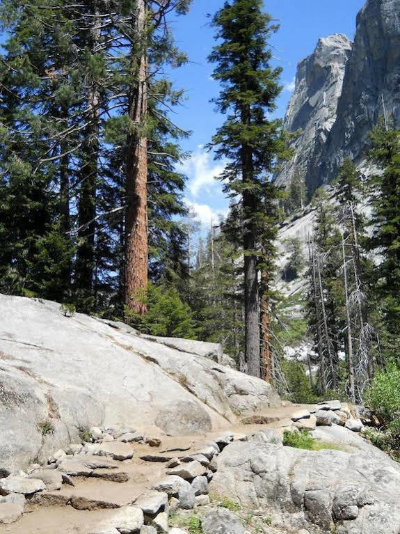 Stony Creek Lodge Sequoia National Park Exteriér fotografie